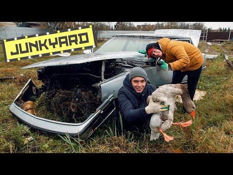 Видео: Купили тачку на гусиной ферме