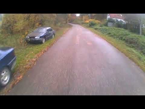 Видео: ПО ДОРОГЕ В ЛЕС