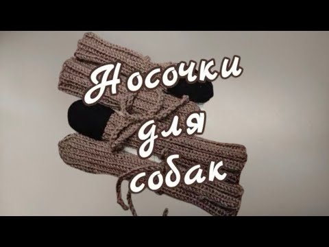 Видео: Как связать Носочки для собак, вязание спицами