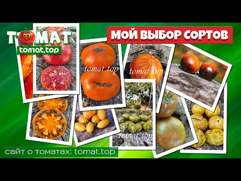 Видео: Мой выбор сортов томатов, когда нет возможности выращивать много. Томатный блог