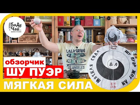 Видео: 🌱 ШУ ПУЭР МЯГКАЯ СИЛА. Обзор чая и почему мне он понравился