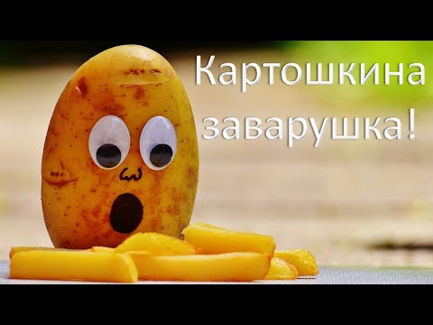 Видео: Картошкина заварушка! Осенний утренник в детском саду средняя группа 🎶