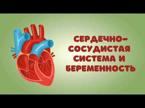 Видео: СЕРДЕЧНО СОСУДИСТАЯ СИСТЕМА И БЕРЕМЕННОСТЬ @DrOlenaB #doctorberezovska #беременность