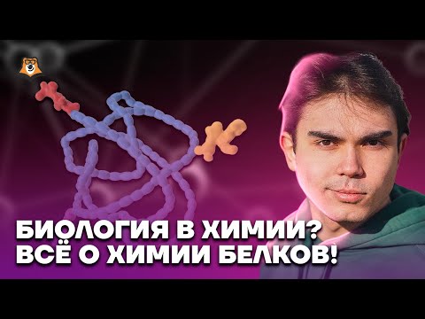 Видео: Биология в химии? Всё о химии белков! | Химия ЕГЭ 2023 | Умскул