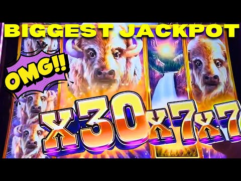 Видео: Ого!!!! САМЫЙ БОЛЬШОЙ ДЖЕКПОТ НА YOUTUBE НА BUFFALO CHIEF PLATINUM! НЕВЕРОЯТНО!