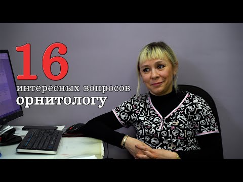 Видео: 16 вопросов орнитологу. Птичий доктор