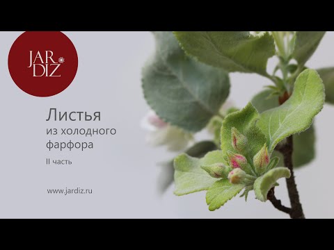 Видео: Урок 2  Листья из холодного фарфора. Часть 2