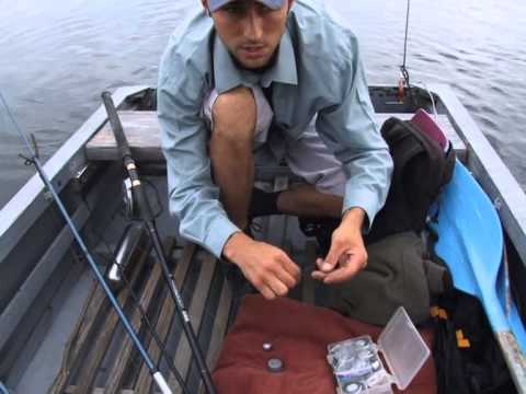 Видео: Ловля «белой» рыбы на «макушатник» с лодки. Мастер класс 187