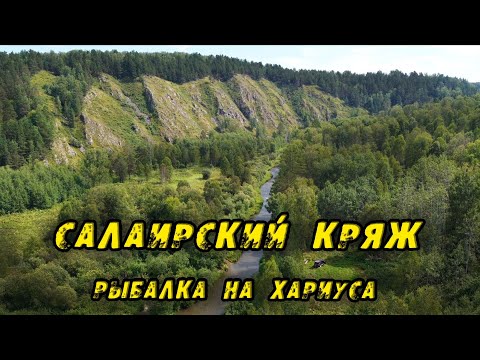 Видео: ОДИН В Салаирской ТАЙГЕ! Этот РУЧЕЙ Порадовал ХАРИУСОМ! Рыбалка на Хариуса. Ловля Хариуса в июле! 
