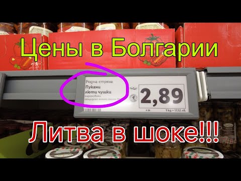 Видео: НУ И ЦЕНЫ!!! Самая бедная страна в ЕС??? Цены в болгарском магазине Lidl поражают