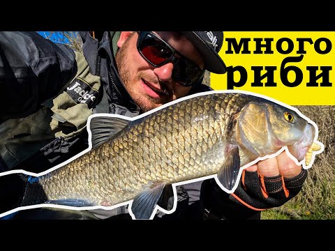 Видео: Риболов на ДЕБЕЛИ кефали в СТУДА