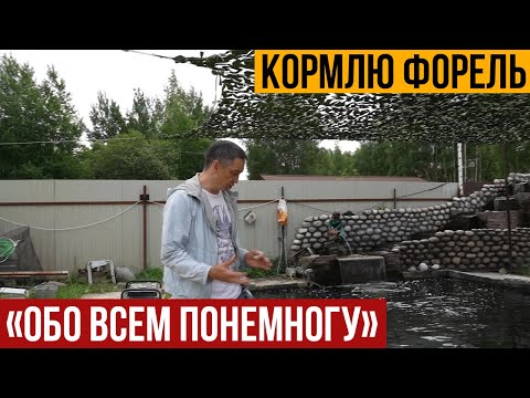 Видео: Кормлю форель у Игоря с канала "Обо всем понемногу". Разговор о форели.