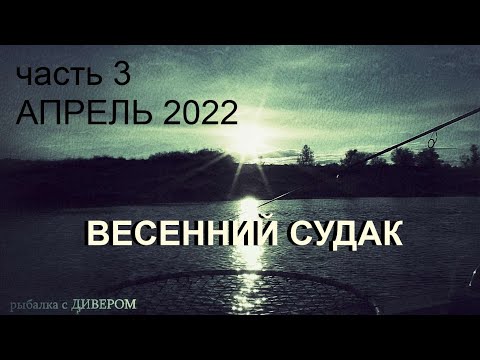 Видео: Весенний судак, ТРОФЕИ Ахтубы. ВИДЕОЭКСКУРСИЯ по номерам базы УГЛЯНСКОЕ. Ахтуба 2022. фильмы ДИВЕРА
