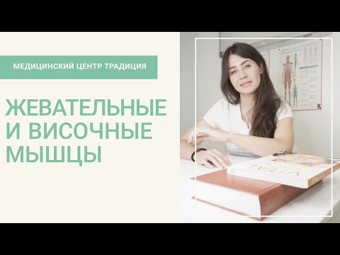 Видео: Боль в жевательных и височных мышцах