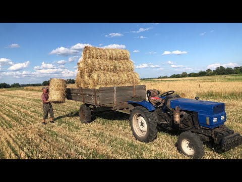 Видео: 400 ТЮКІВ! Працюємо зранку до вечора в полі! Сіновали вже повні