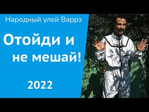 Видео: Народный улей Варрэ. Это всё, что я могу сделать для пчел