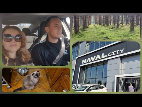 Видео: Присматриваемся в автосалоне Haval🚘. Сочная курочка.Лелик пошёл за грибами и что он там нашёл 😁.