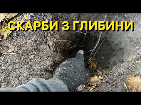 Видео: Скарби старого смітника! Вони пережили війну. Пошук по ПСВ.