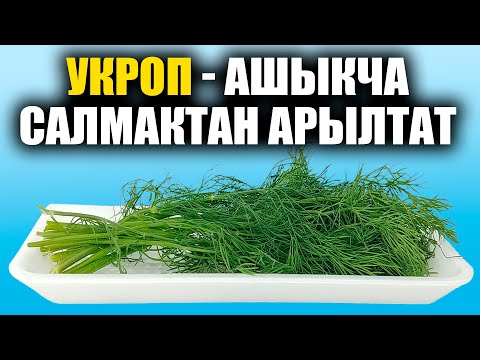 Видео: УКРОП ПОЛЕЗЕН? / ПОХУДЕТЬ / УДИВИТЕЛЬНО / ПОЛЕЗНЫЕ СОВЕТЫ