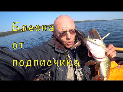 Видео: РЫБАЛКА на КОЛЕБАЛКИ. Мастер класс. Тестируем блесны.