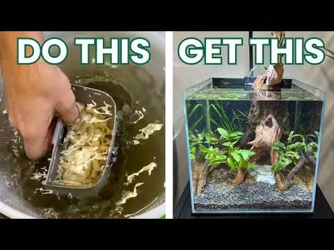 Видео: ПОСМОТРИТЕ ЭТО перед чисткой фильтра-канистры Fluval 07