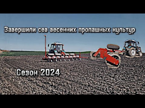 Видео: Сев кукурузы и её прикатывание на МТЗ-82.1, настройка сеялки VESTA 8 PROFI