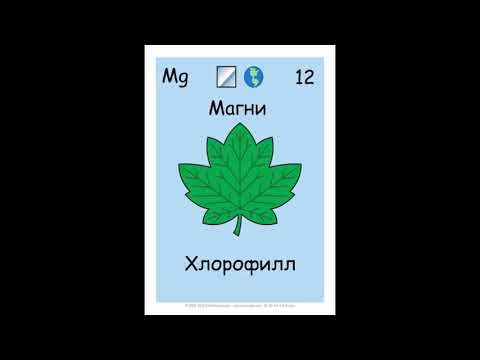 Видео: Үелэх системийн дуу /Periodic table song/