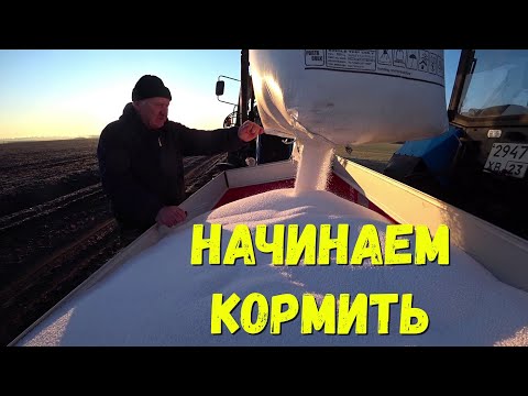 Видео: Когда начинать весеннюю подкормку Озимой Пшеницы!!!Сезон Весенне полевых работ 2021 ОТКРЫТ!!!