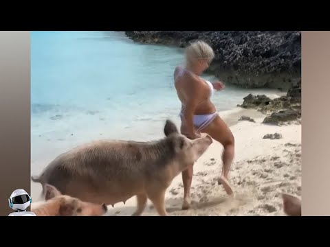 Видео: Вы ДОЛЖНЫ Это Увидеть! Эти Редкие Случаи с Животными Снятые На Камеру