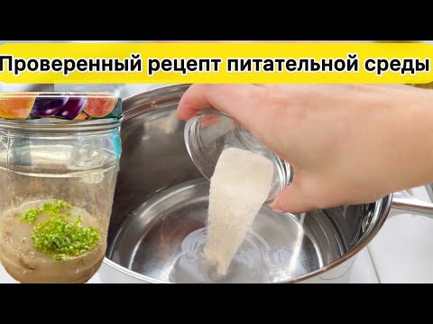 Видео: РЕЦЕПТ и приготовление Питательной Среды для посева семян орхидеи