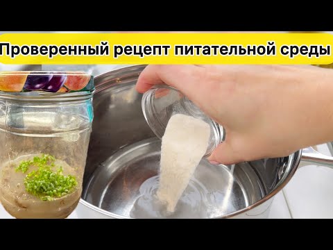 Видео: РЕЦЕПТ и приготовление Питательной Среды для посева семян орхидеи