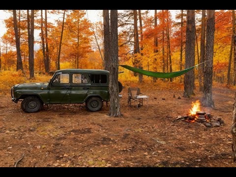 Видео: На УАЗе в лес на пикник. Готовим на костре.