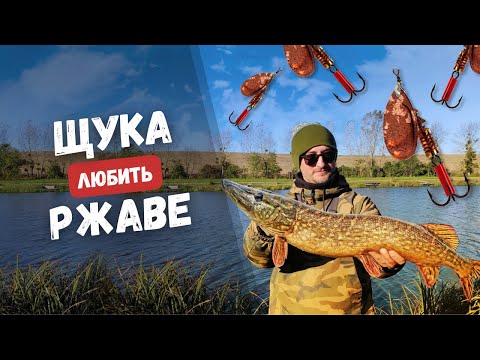 Видео: Ржава приманка розриває щуку. ОСІННЯ РИБОЛОВЛЯ НА ЩУКУ