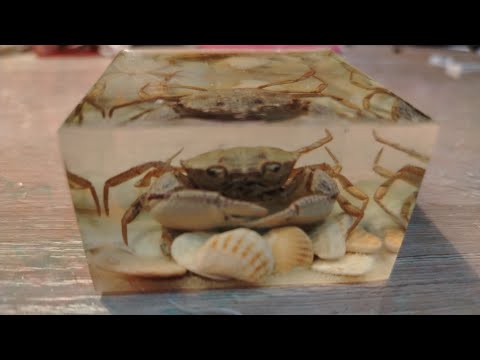 Видео: Эпоксидный краб? 