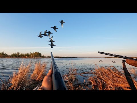 Видео: ОХОТА НА ТУРПАНА НА КОЛЫМЕ 2023. 6 СЕРИЯ. HUNTING FOR VELVET SCOTER IN SIBERIA. KOLYMA. PART 6