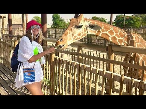 Видео: Дубай сафари парк. Самая крутая экскурсия в ОАЭ