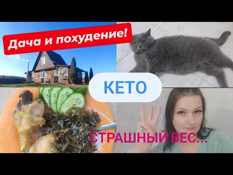 Видео: Выходные на даче.Покупки.Кето похудение!.#fun #кетопитание #funny #дачнаяжизнь #худеюкновомугоду