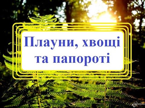 Видео: Плауни, хвощі та папоротеподібні