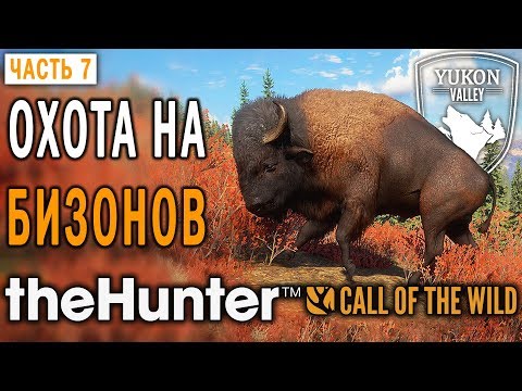 Видео: theHunter Call of the Wild #7 🐺 - Охота на Бизонов - Долина Юкона, Аляска