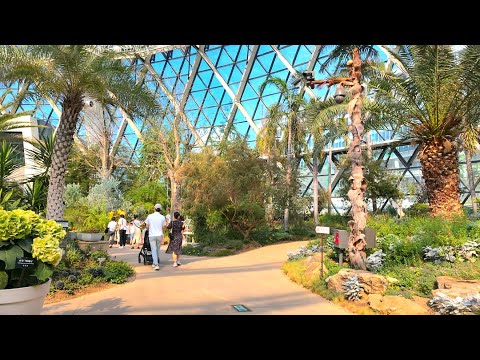 Видео: [4K HDR] Сеульский ботанический парк~ 70 футбольных полей размером сад исцеления прогулки
