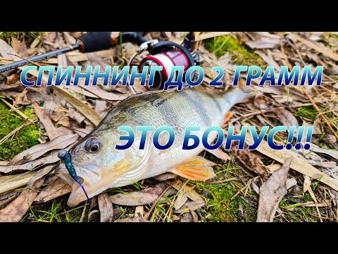 Видео: Отличная рыбалка на микроджиг в конце зимы. Окунь на пассивные приманки.
