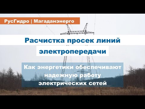 Видео: Расчистка просек ЛЭП