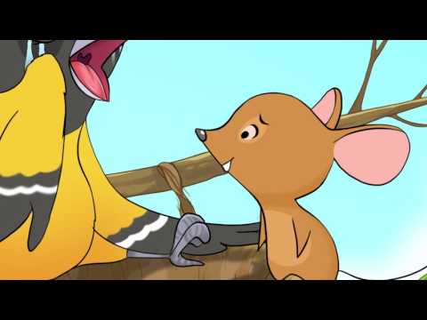 Видео: Алтан гургалдай ба зальт үнэг