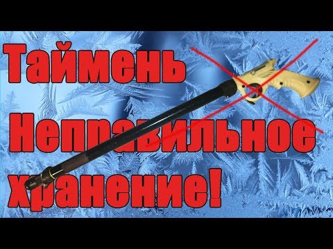 Видео: Таймень, неправильное хранение.