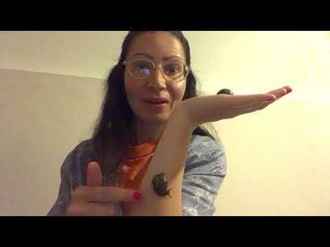 Видео: 5 причини защо градинският охлюв е най-добрият домашен любимец 🌸💗🐌🌺😍