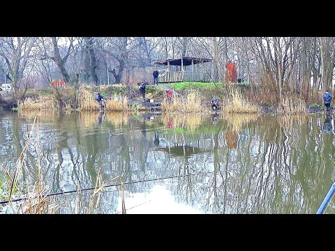 Видео: УДОЧКА В ДУГУ ОТ ТАКИХ БАТОНОВ. Рыбалка на поплавок в январе 2023