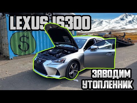 Видео: LEXUS IS300 - 16025$.Утопленник - какие последствия ? Поднимем ?