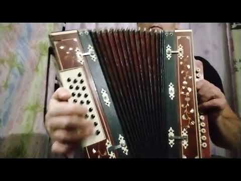 Видео: Гармонь голоса Hohner продається