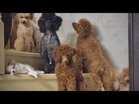 Видео: Начинается самое интересное