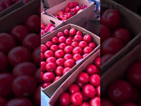 Видео: Шувар овочі огляд цін на ринку 19.09.25